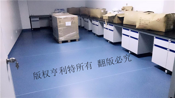蘑菇视频黄片软件實驗台