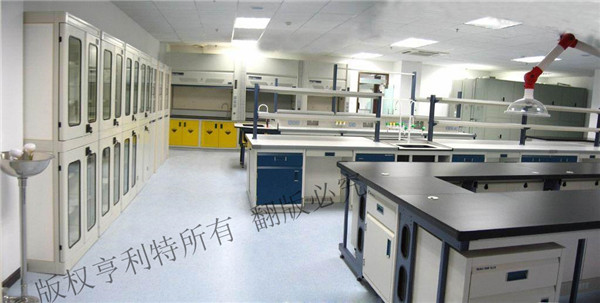 蘑菇视频黄片软件實驗台