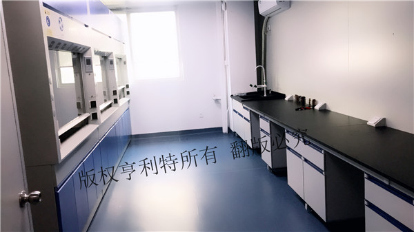 蘑菇视频黄片软件台
